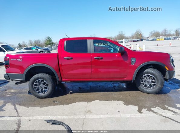 1FTER4HH8SLE35170 2025 FORD RANG Красный Вид задней части салона