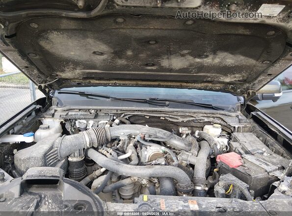 1FTER4LR0SLE37656 2025 FORD RANG Зеленый Вид сзади