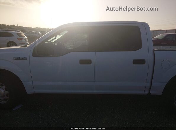 1FTEW1CB3KKD75587 2019 FORD F150 Белый 