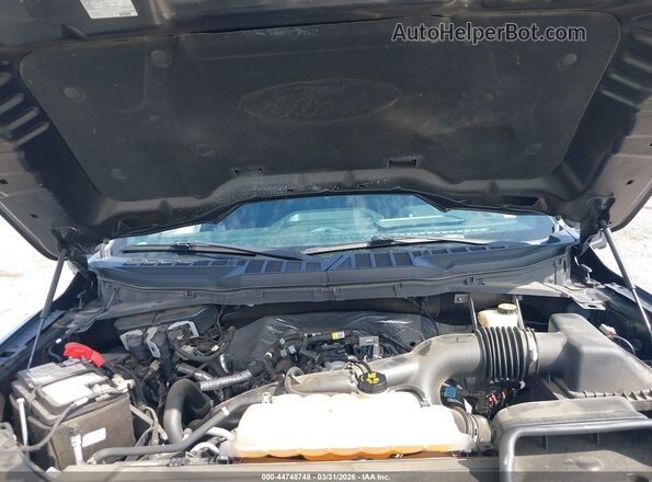 1FTEW1CP3MFD08656 2021 FORD F150 Серый Вид сзади