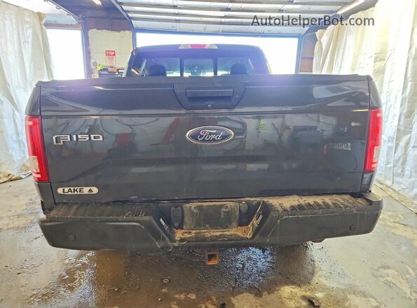 1FTEW1EF0HFC07424 2017 FORD F150 Угольный Вид сзади