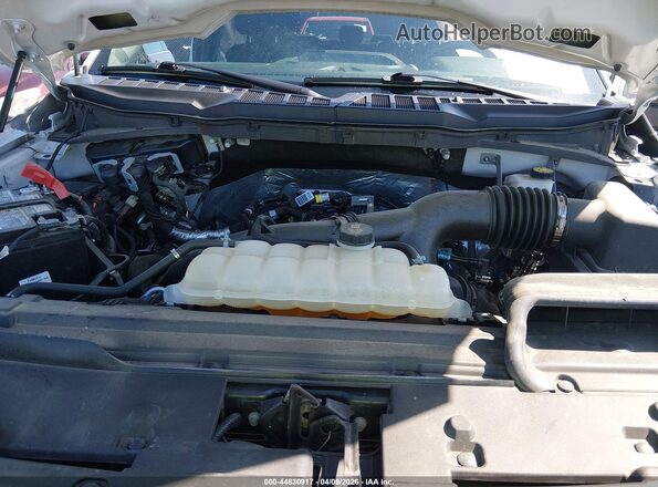 1FTEW2LP0RFB20626 2024 FORD F150 Серый Вид сзади