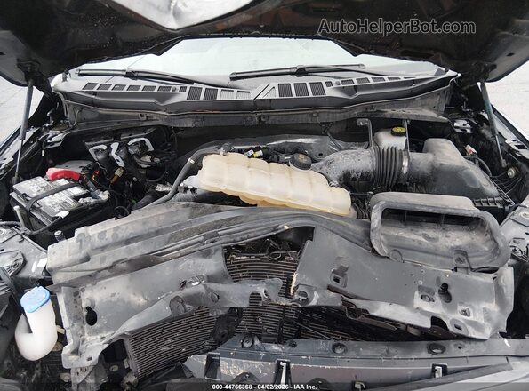 1FTEW2LP1RKD04254 2024 FORD F150 Серый Вид сзади