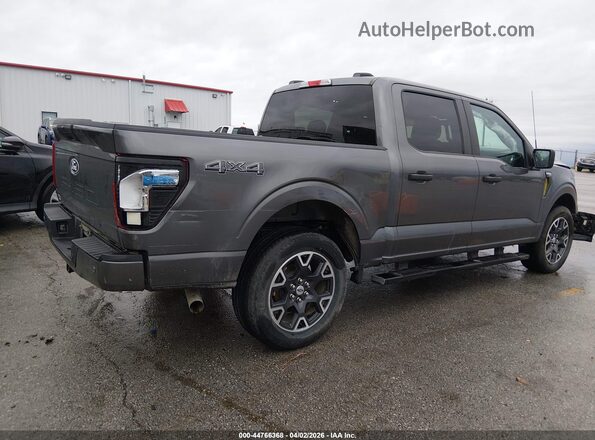 1FTEW2LP1RKD04254 2024 FORD F150 Серый Задняя правая четверть