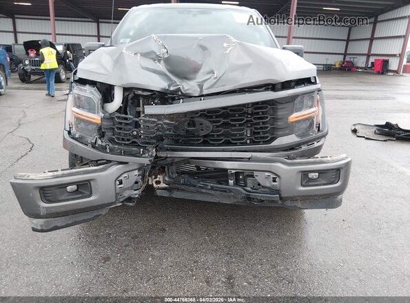 1FTEW2LP1RKD04254 2024 FORD F150 Серый Вид спереди