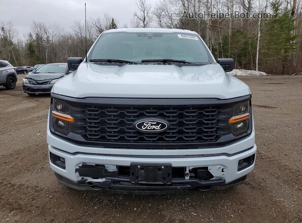 1FTEW2LP1SKF43616 2025 FORD F150 White Front view