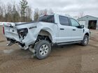 2025 Ford F150 Stx White vin: 1FTEW2LP1SKF43616