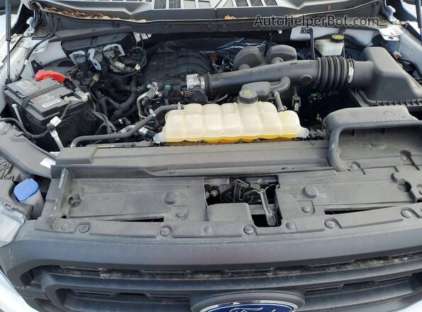 1FTEX1CB9PKD82581 2023 FORD F150 Белый Вид задней части салона