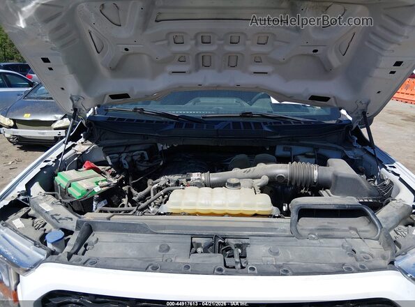 1FTEX1EB5MFD09502 2021 FORD F150 White Вид ззаду