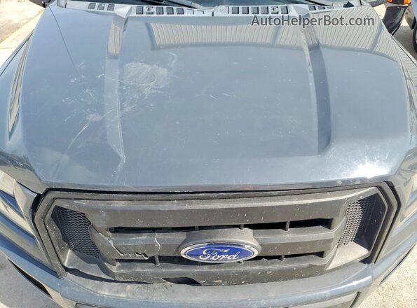 1FTEX1EP0GFD16423 2016 FORD F150 Серый Вид задней части салона