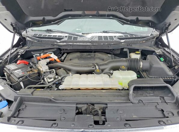 1FTFW1ED2NFB24771 2022 FORD F150 Серый Вид задней части салона