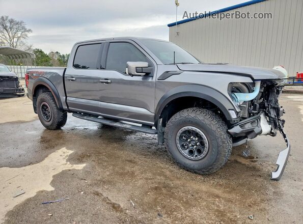 1FTFW1RG5RFB07683 2024 FORD F150 Gray Przód prawy