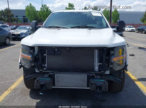 1FTFW3L8XRKD33206 2024 FORD F150 Белый Вид задней части салона