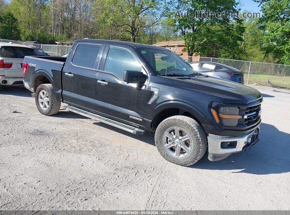 1FTFW3LD6RFA36701 2024 FORD F150 Черный Передняя правая четверть