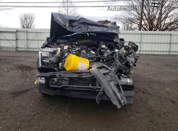 1FTFW5LD0RFC10127 2024 FORD F150 Черный Вид спереди
