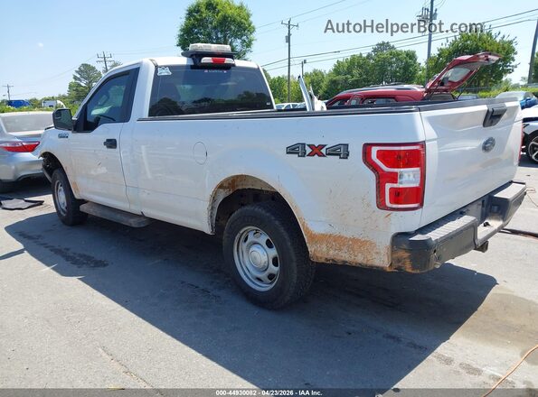 1FTMF1EB8KKD75822 2019 FORD F150 White Tył lewy