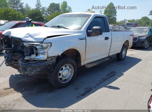 1FTMF1EB8KKD75822 2019 FORD F150 White Przód lewy