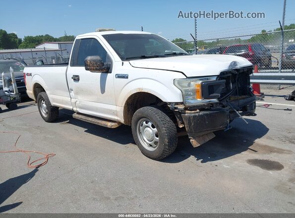 1FTMF1EB8KKD75822 2019 FORD F150 White Przód prawy