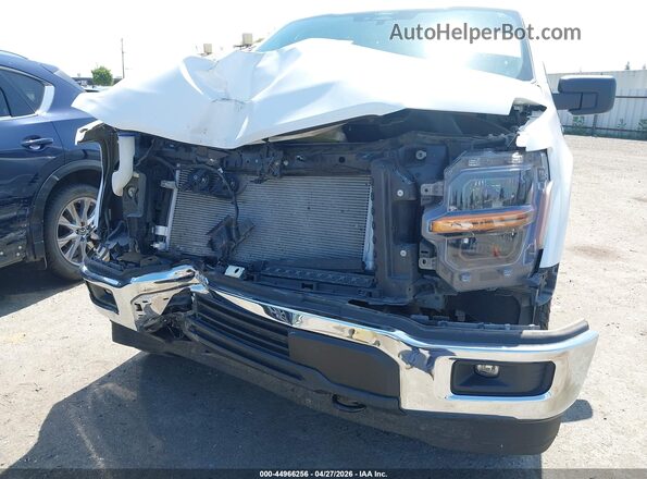 1FTMF1L53RKD40645 2024 FORD F150 Белый Вид спереди
