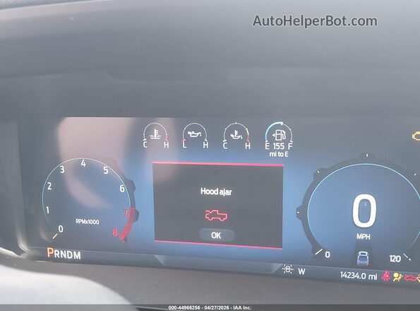 1FTMF1L53RKD40645 2024 FORD F150 Белый Вид задних сидений