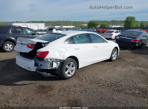 1G1ZD5ST2RF132888 2024 CHEVROLET MALIBU Белый Задняя правая четверть