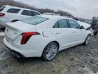 2023 Cadillac Ct4 Premium Luxury White vin: 1G6DF5RK2P0121238