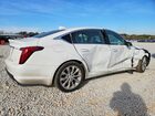 2023 Cadillac Ct5 Premium Luxury White vin: 1G6DN5RK8P0132425