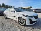2023 Cadillac Ct5 Premium Luxury White vin: 1G6DN5RK8P0132425