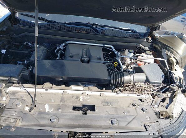 1GCPSCEK1R1292902 2024 CHEVROLET COLORADO Коричневый Вид сзади