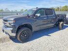 2021 Chevrolet 1500 Black vin: 1GCUYGED3MZ374070