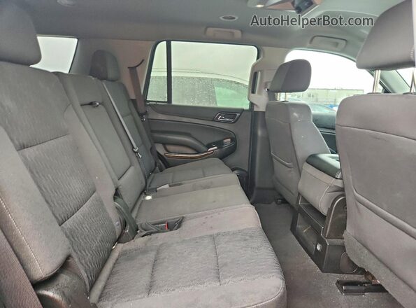 1GNSCAEC0LR119487 2020 CHEVROLET TAHOE Синий Вид задней части салона