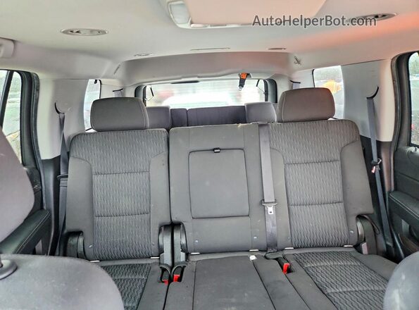 1GNSCAEC0LR119487 2020 CHEVROLET TAHOE Синий Вид задних сидений