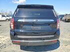 2023 Chevrolet Tahoe K1500 Black vin: 1GNSKLED7PR404636