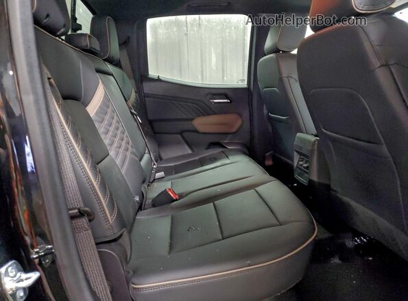 1GTP2FEK8S1111351 2025 GMC CANYON Черный Вид задних сидений