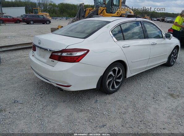 1HGCR3F88GA004191 2016 HONDA ACCORD Белый Задняя правая четверть