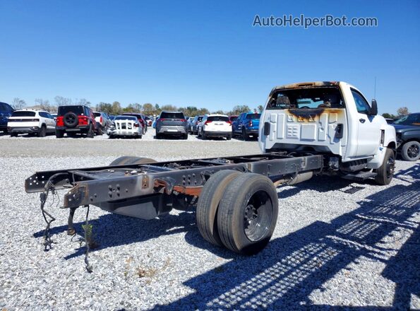 1HTKHPVK3PH565720 2023 CHEVROLET SILVERADO White Задня права чверть