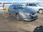 2016 Nissan Maxima 3.5 Sl Gray vin: 1N4AA6AP5GC388664
