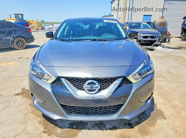 1N4AA6AP5HC403293 2017 NISSAN MAXIMA PLATINUM Gray Widok z przodu