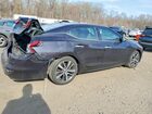 2017 Nissan Maxima Platinum Black vin: 1N4AA6AP7HC360852
