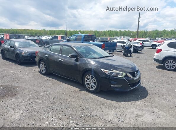 1N4AA6AP7HC419236 2017 NISSAN MAXIMA Black Przód prawy