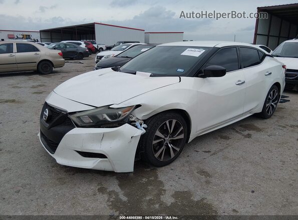 1N4AA6AP9HC454053 2017 NISSAN MAXIMA White Przód lewy