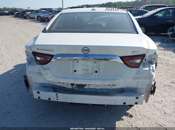 1N4AA6CV7PC511571 2023 NISSAN MAXIMA White 