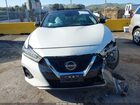 2023 Nissan Maxima Platinum Xtronic Cvt Белый vin: 1N4AA6FV1PC507561