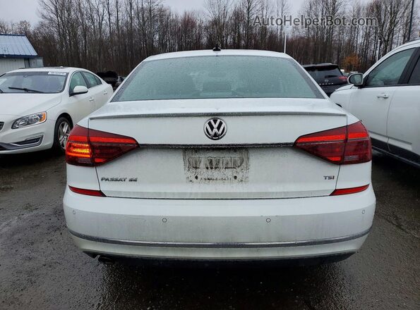 1VWBA7A30JC048666 2018 VOLKSWAGEN PASSAT White Widok z tyłu