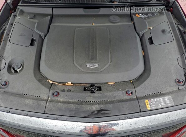 1GYKPVRL0RZ121340 2024 CADILLAC OTHER Красный Вид наклейки с VIN-кодом