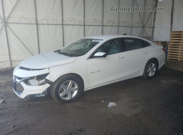 1G1ZB5ST2RF173656 2024 CHEVROLET MALIBU Белый 