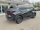 2022 Lexus Nx 250 Черный vin: JTJADCAZ5N2001984