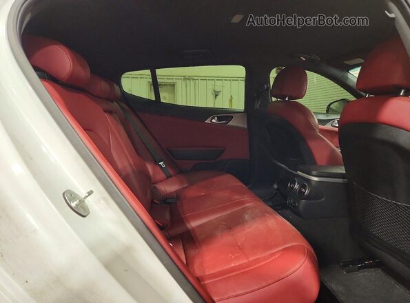 KNAE35LC5K6060207 2019 KIA STINGER Белый Вид задней части салона
