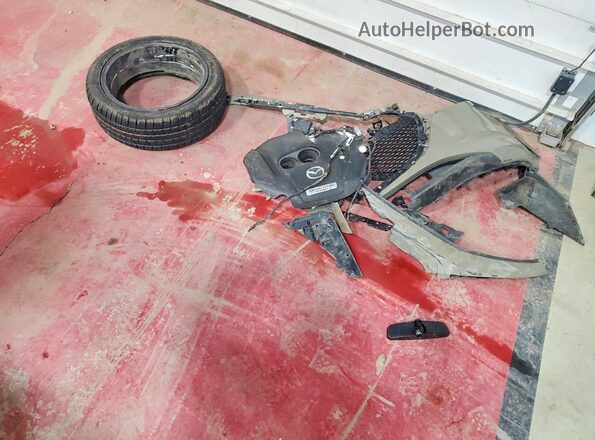 JM1BPBYY7R1704746 2024 MAZDA 3 Зеленый Вид наклейки с VIN-кодом