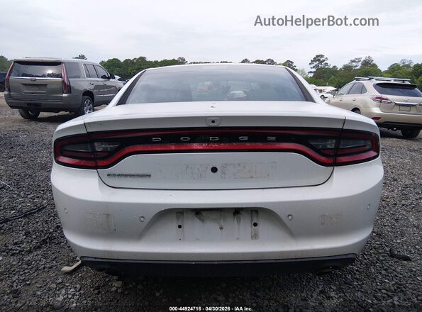 2C3CDXAT6PH533533 2023 DODGE CHARGER Белый 